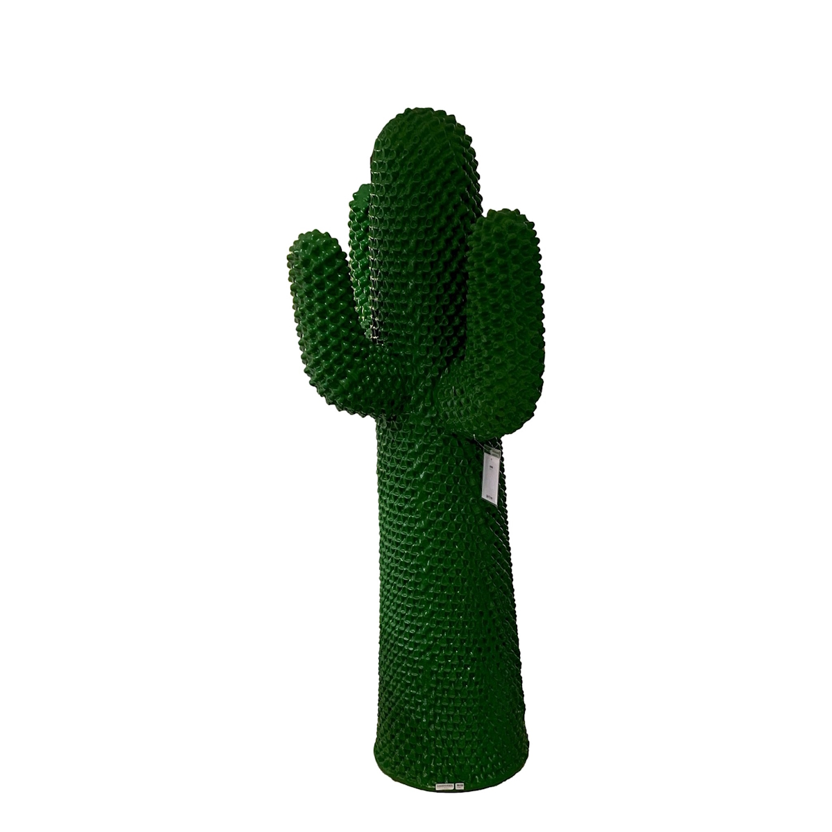 Cactus Verde