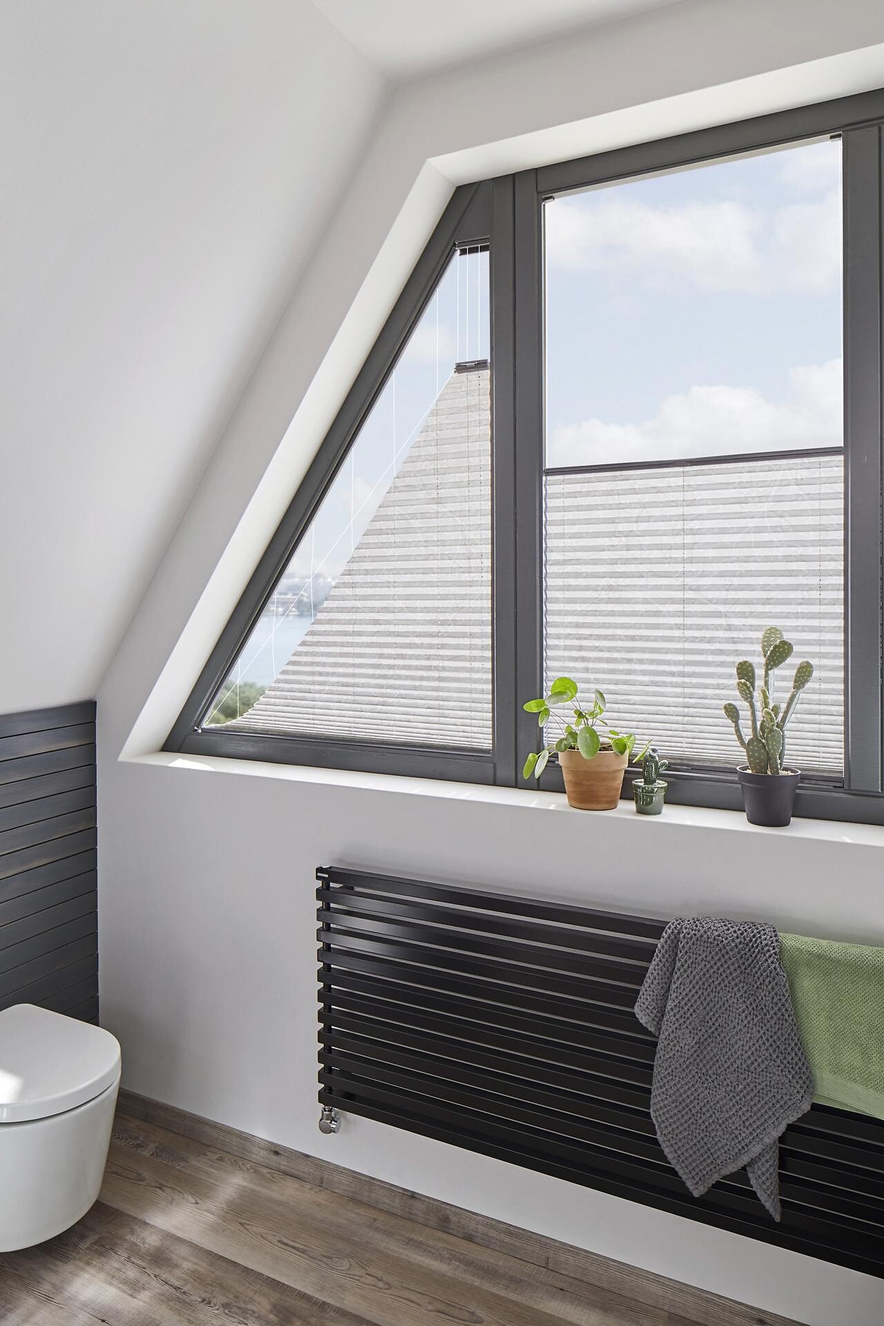 Dachfenster mit maßgefertigten Plissees und dekorativen Sukkulenten auf dem Sims