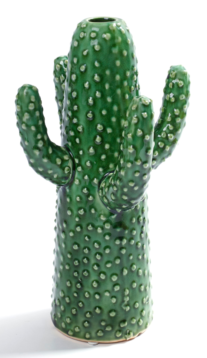 Vase Kaktus